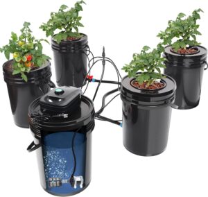 Recirculating Deep Water Culture Hydroponic Bucket System