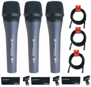 Lead Vocal Stage Microphones by Sennheiser