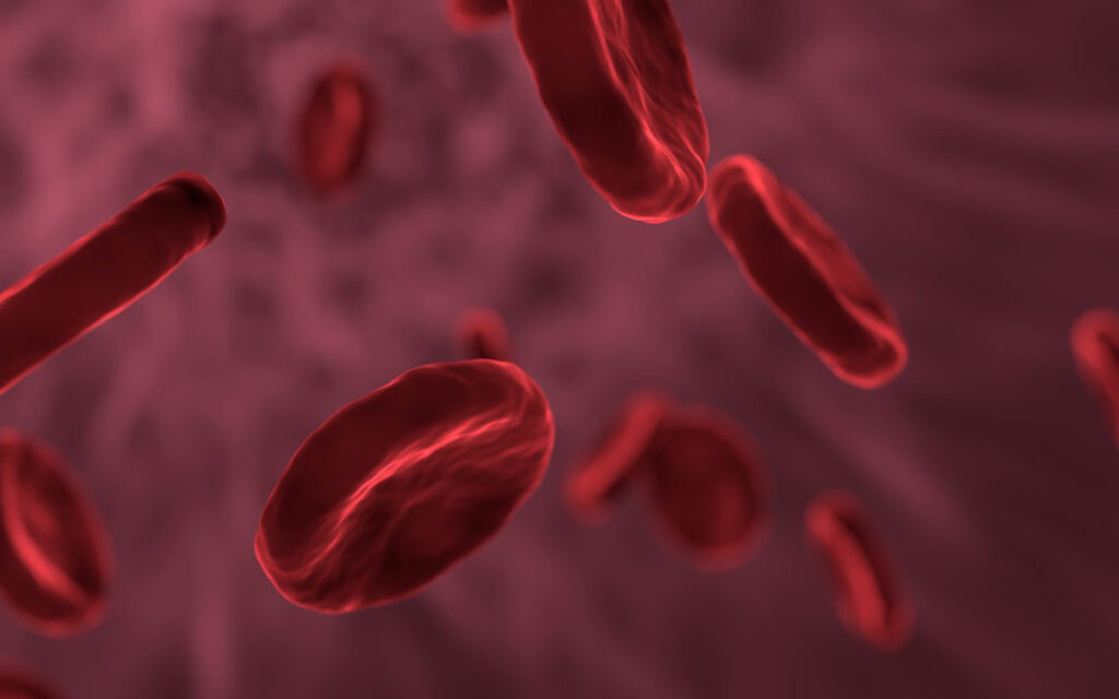 Can We Eat to Starve Cancer?