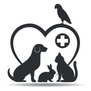 Ask a Veterinarian