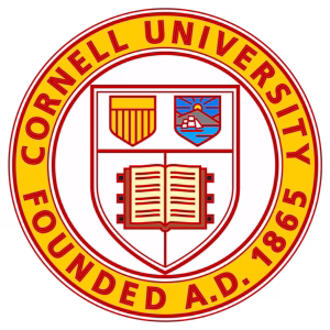 Structuring Business Agreements for Success