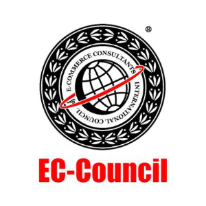 Digital Forensics Essentials (DFE)