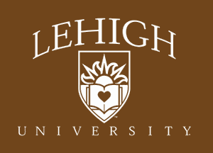 Foundations of Business Analytics (Professional Certificate)