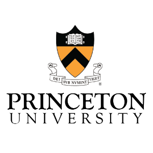 The Art of Structural Engineering: Bridges