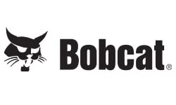 Bobcat